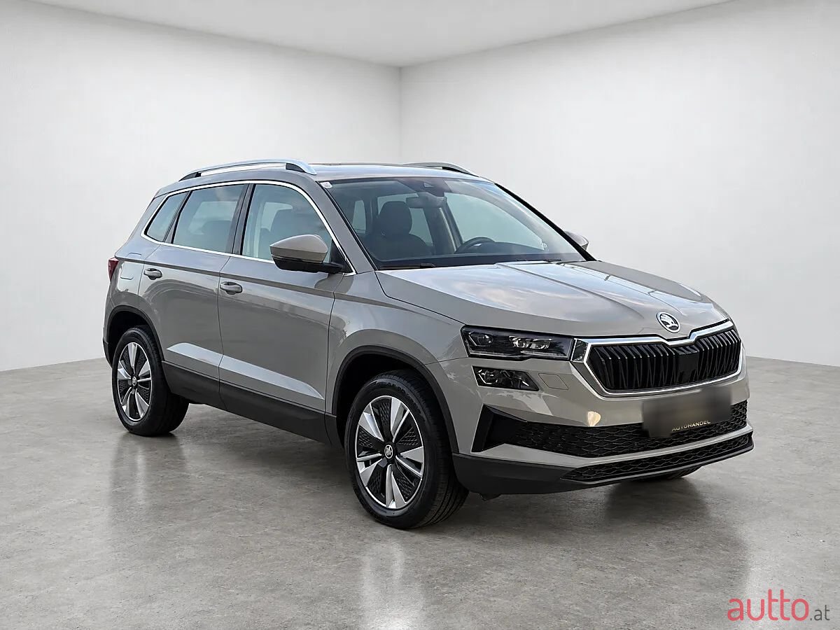 2023' Skoda Karoq photo #3