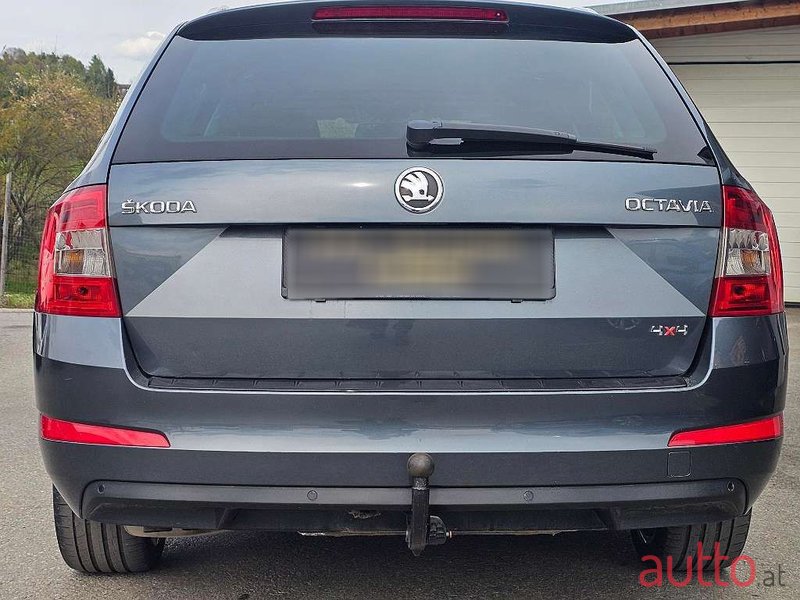 2014' Skoda Octavia photo #5