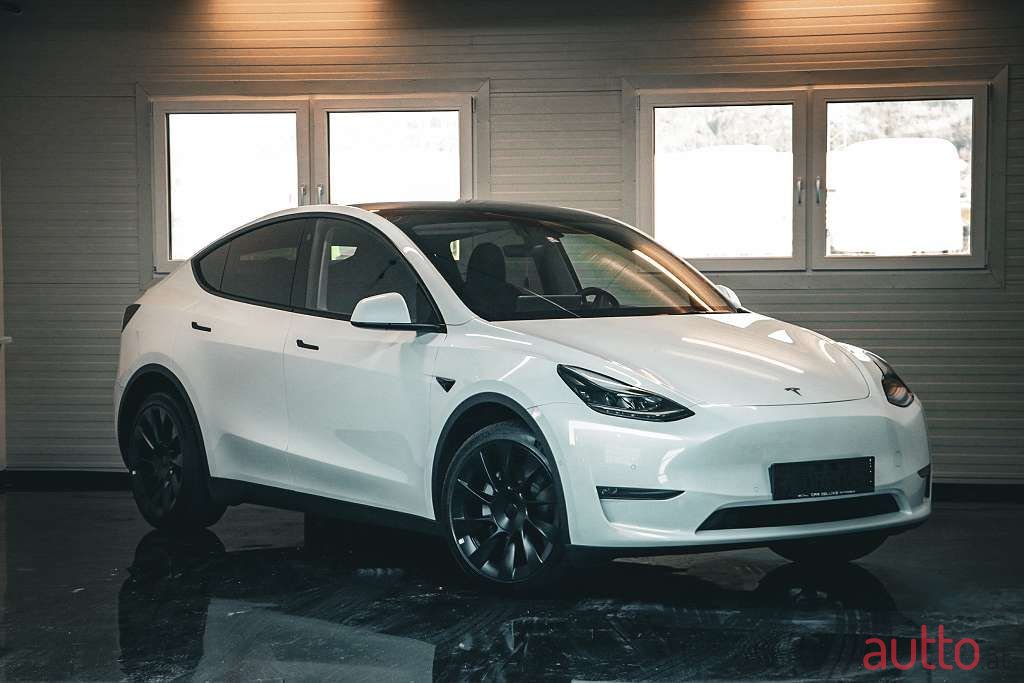 2021' Tesla Model Y photo #1