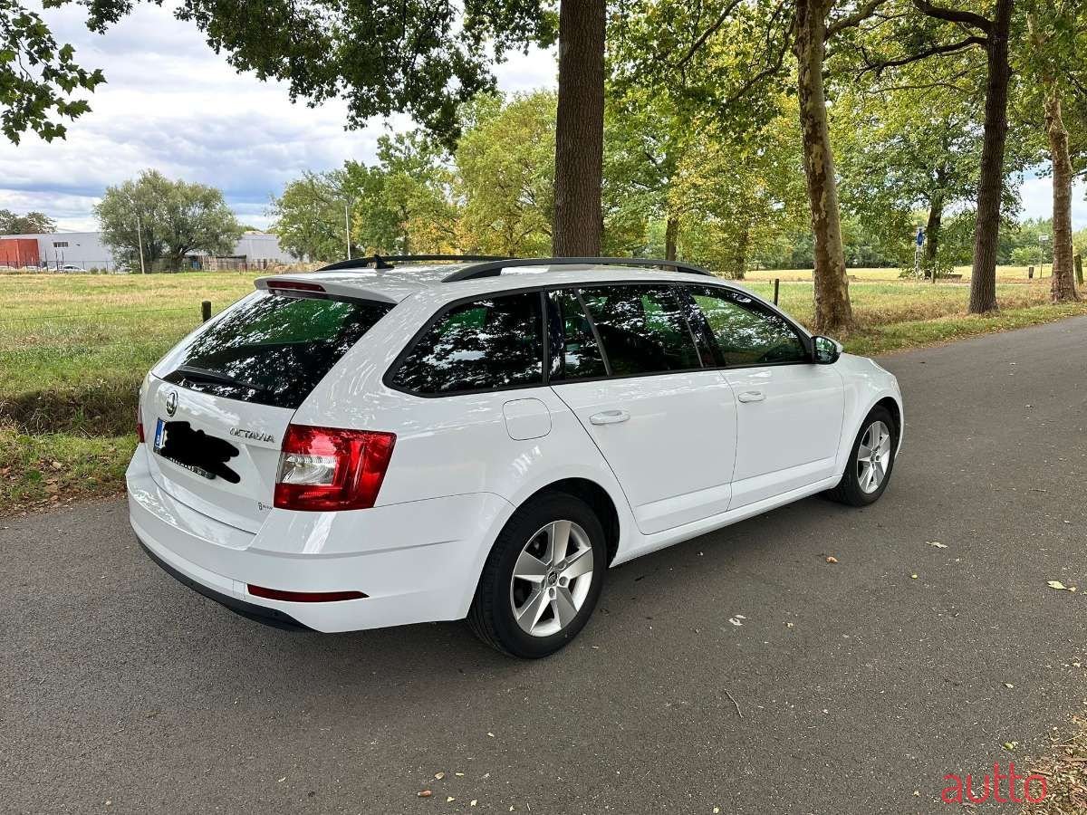2017' Skoda Octavia photo #3