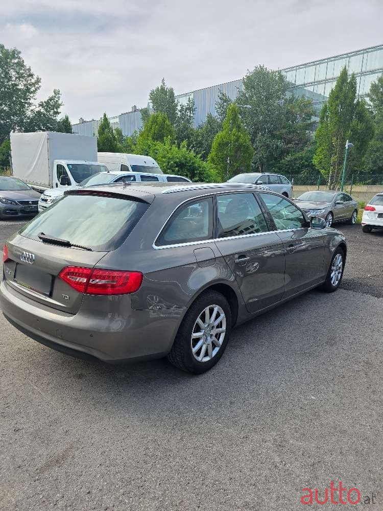 2015' Audi A4 photo #4