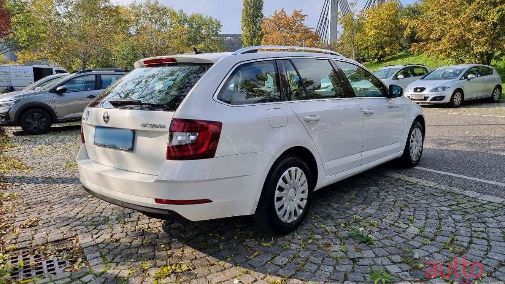 2019' Skoda Octavia photo #6
