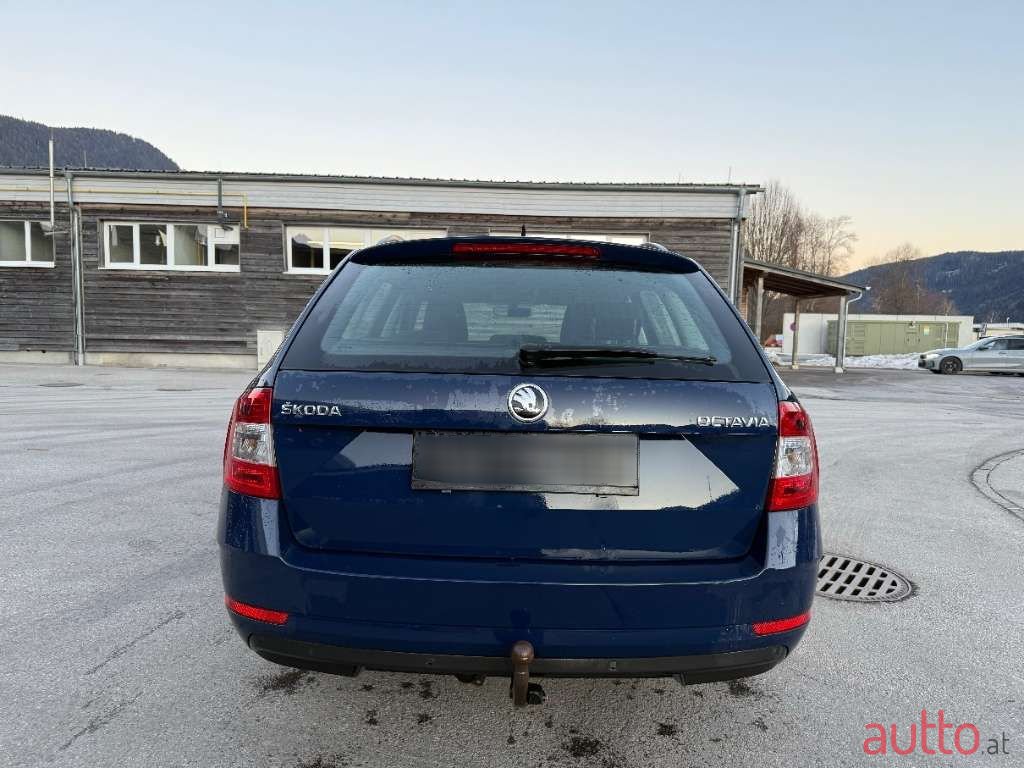 2017' Skoda Octavia photo #6