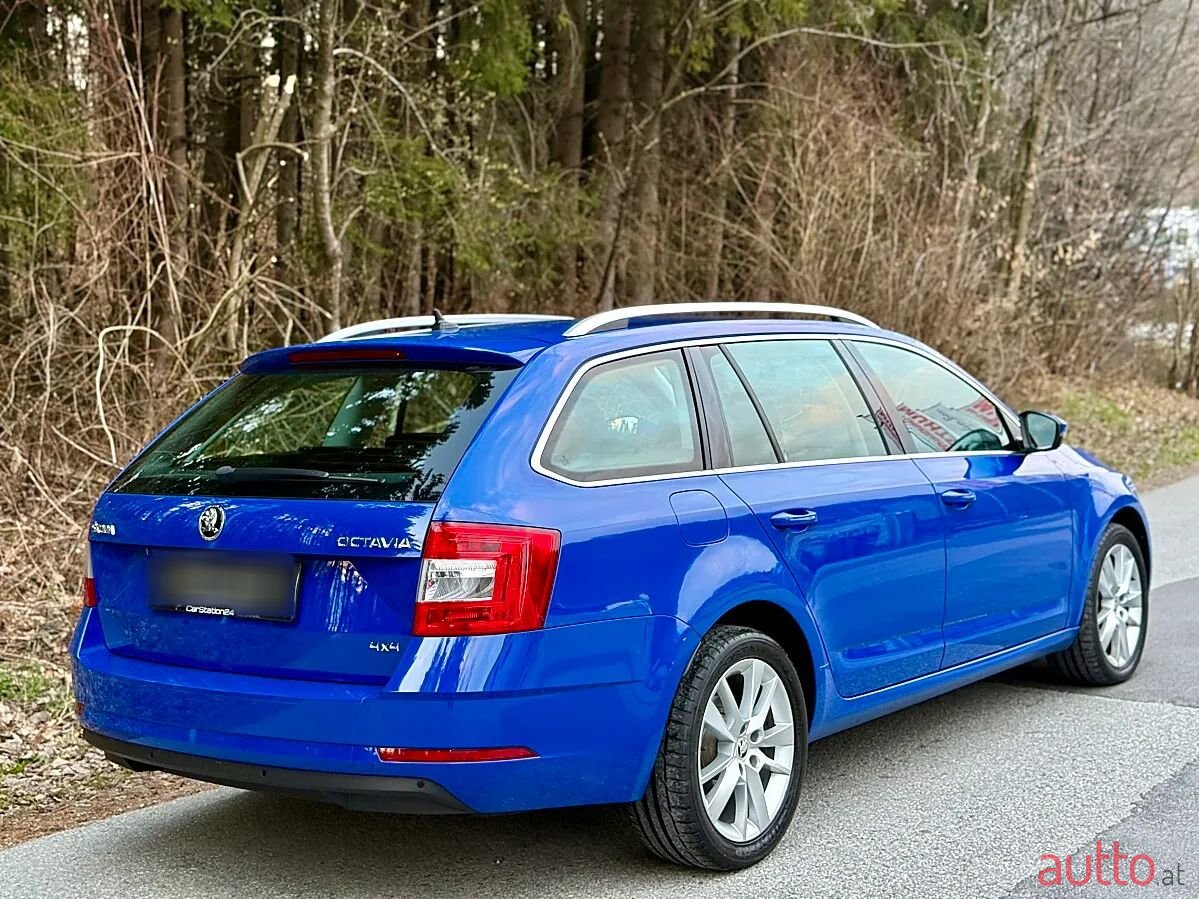 2020' Skoda Octavia photo #6