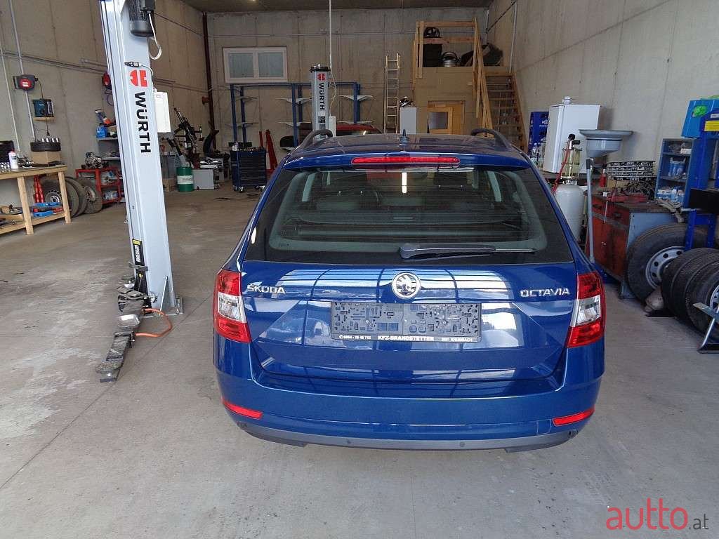 2017' Skoda Octavia photo #4
