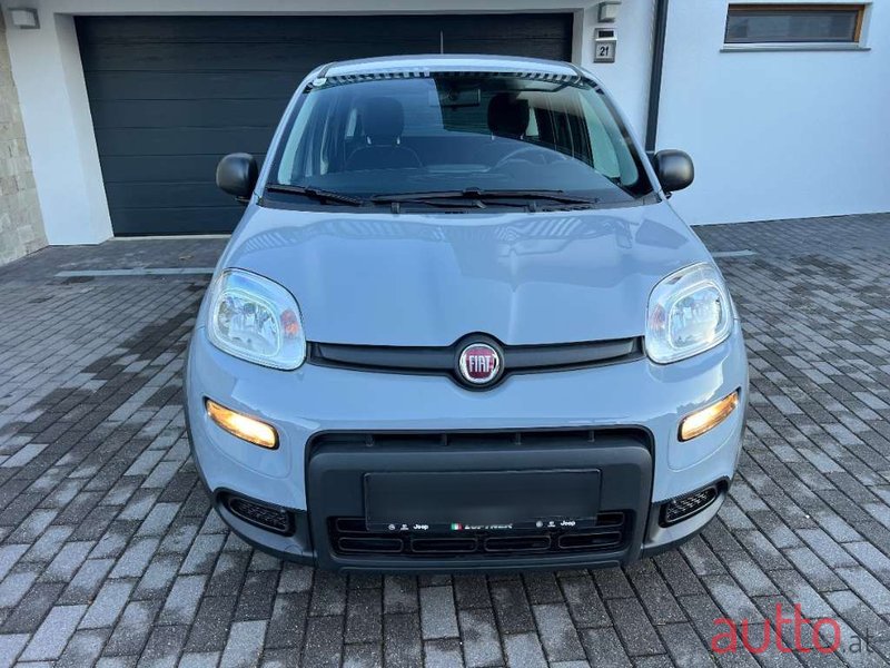 2023' Fiat Panda photo #2