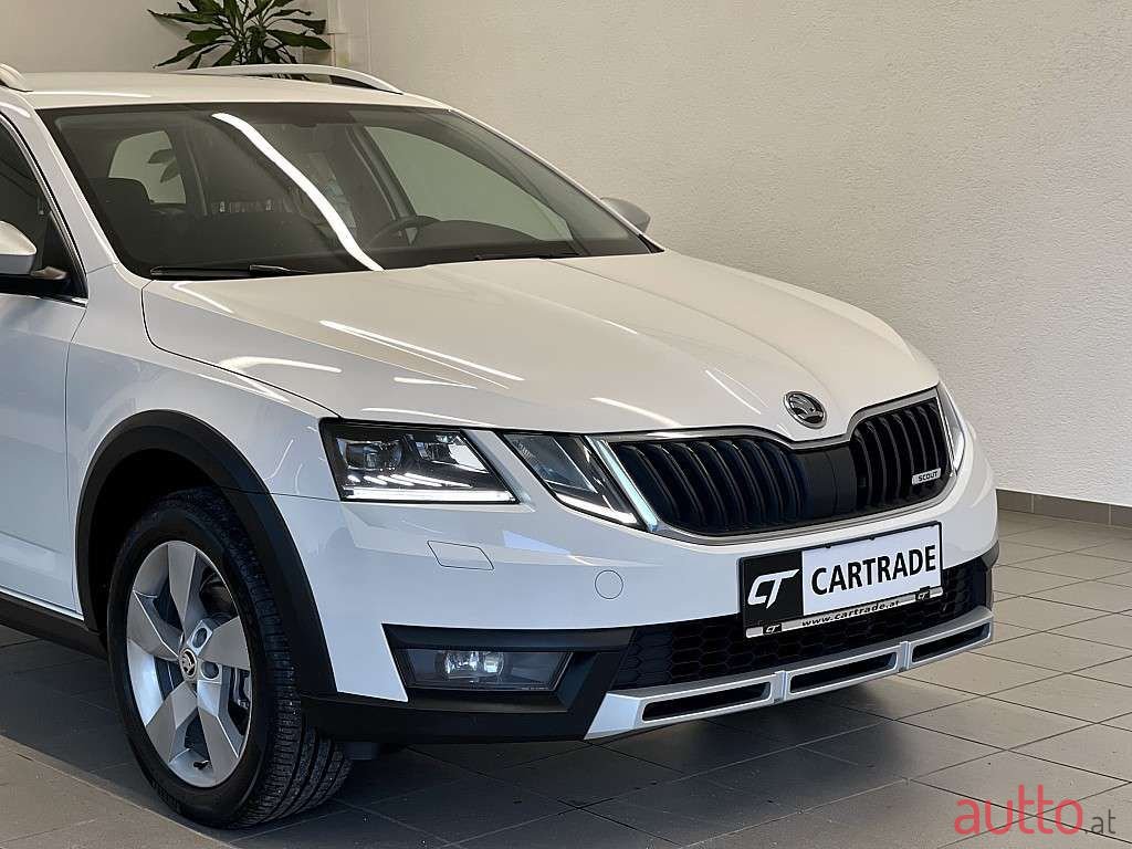 2019' Skoda Octavia photo #4