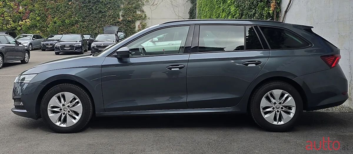 2021' Skoda Octavia photo #5