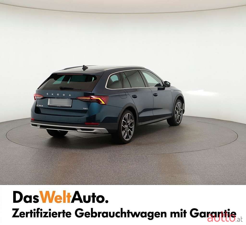 2023' Skoda Octavia photo #5