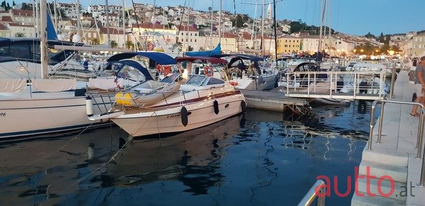 2019' Maxum photo #1