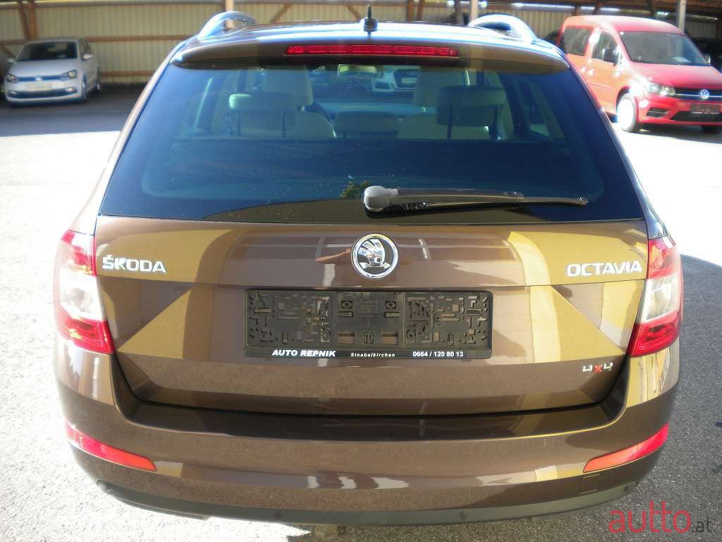 2014' Skoda Octavia photo #5