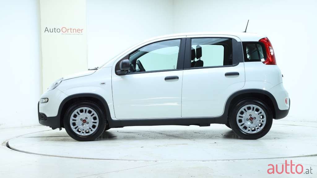 2024' Fiat Panda photo #2