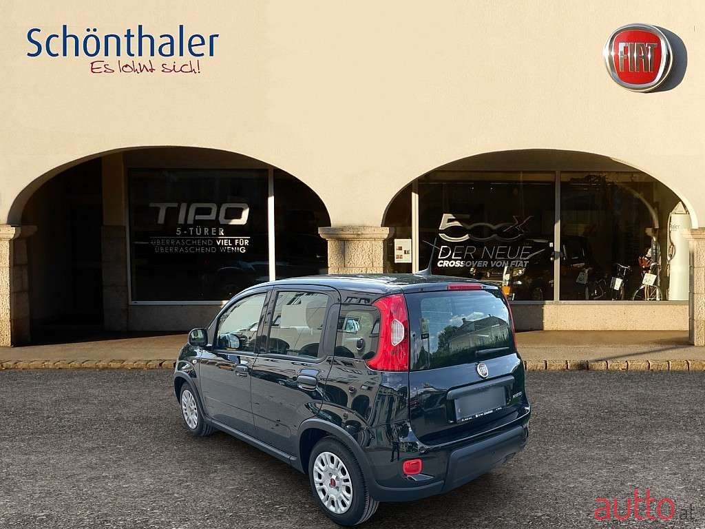 2024' Fiat Panda photo #2