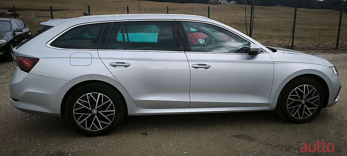2020' Skoda Octavia photo #5