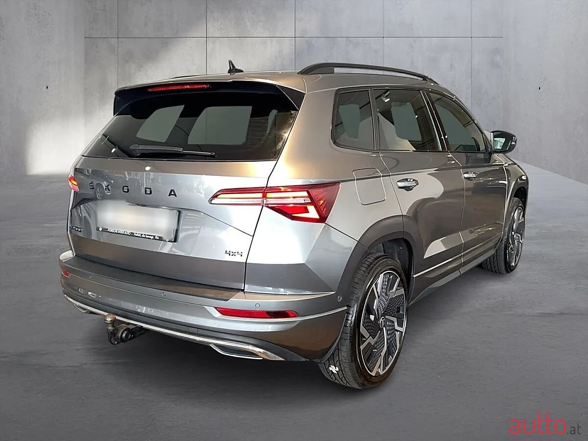 2023' Skoda Karoq photo #5