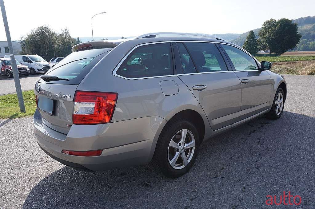2014' Skoda Octavia photo #5