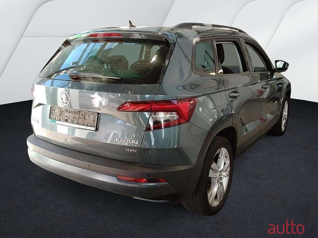 2019' Skoda Karoq photo #2