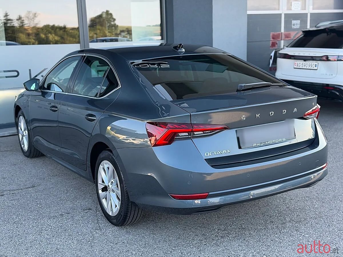 2020' Skoda Octavia photo #6