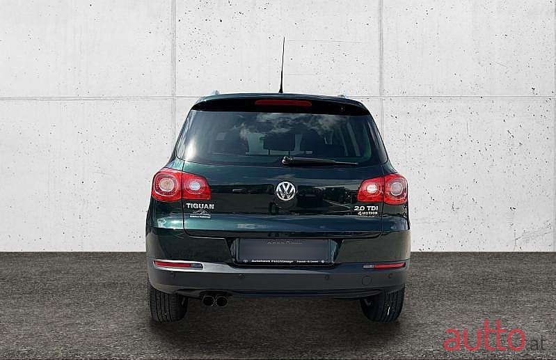 2011' Volkswagen Tiguan photo #6