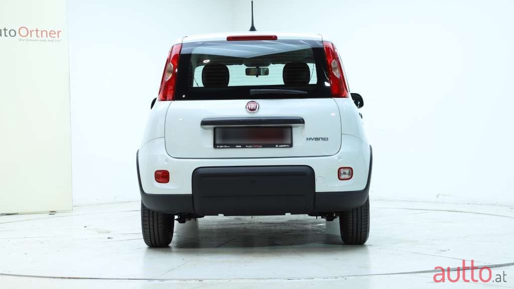 2024' Fiat Panda photo #5