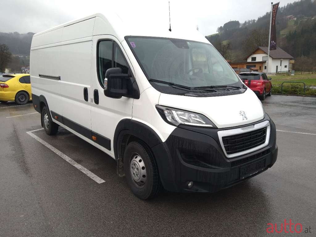 2019' Piaggio photo #1