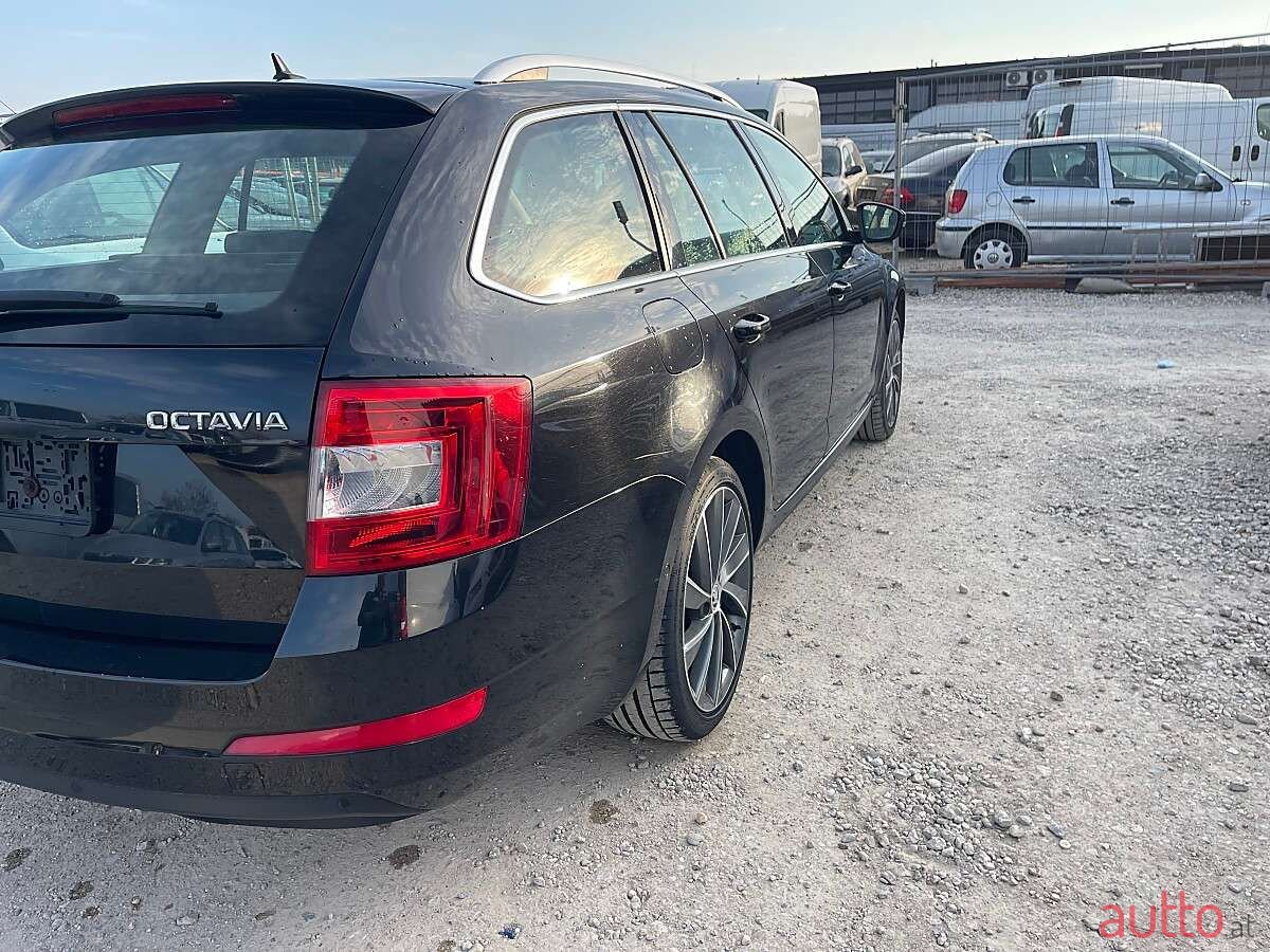 2015' Skoda Octavia photo #6