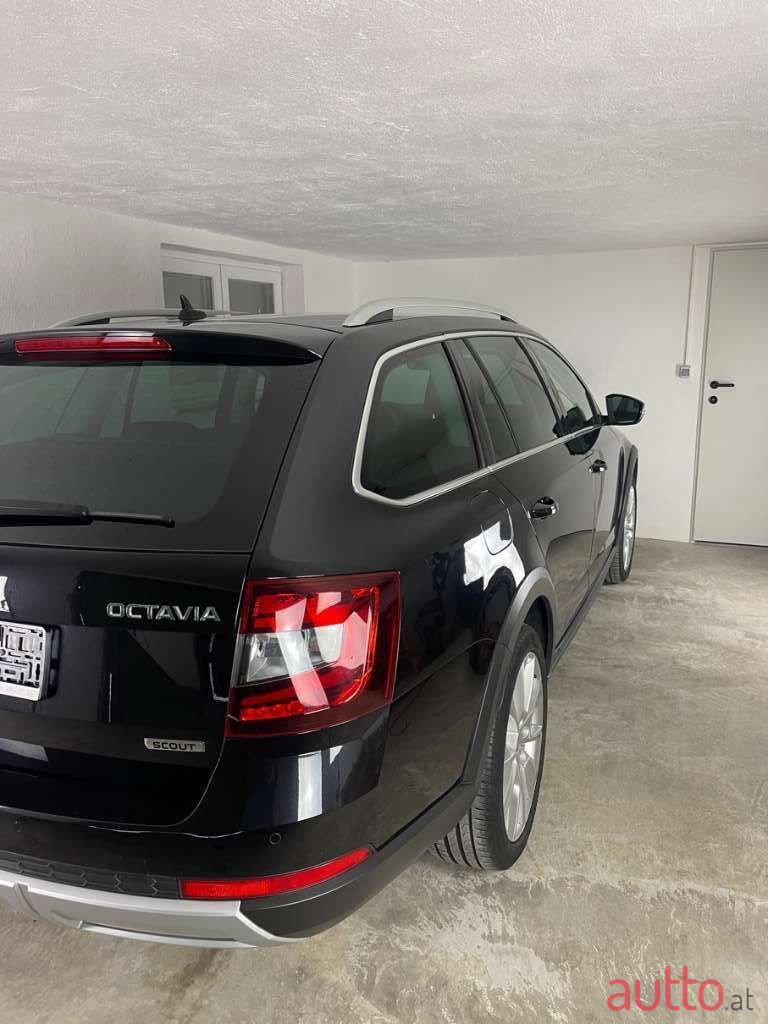 2018' Skoda Octavia photo #4