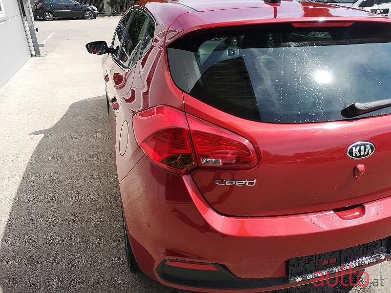 2015' Kia Ceed photo #4