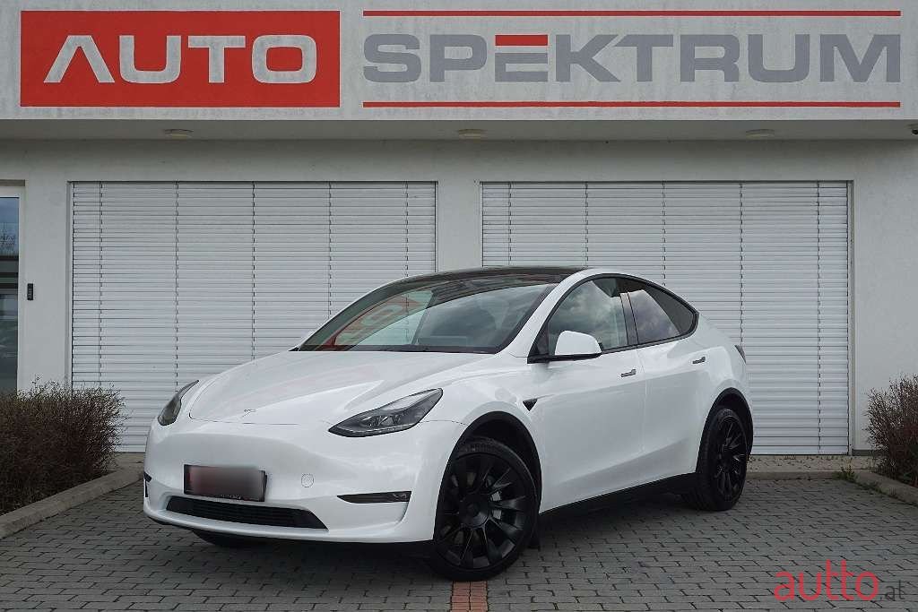 2023' Tesla Model Y photo #1