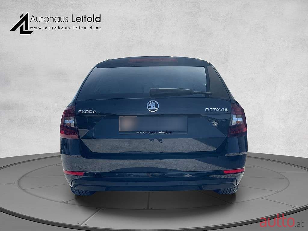 2019' Skoda Octavia photo #5