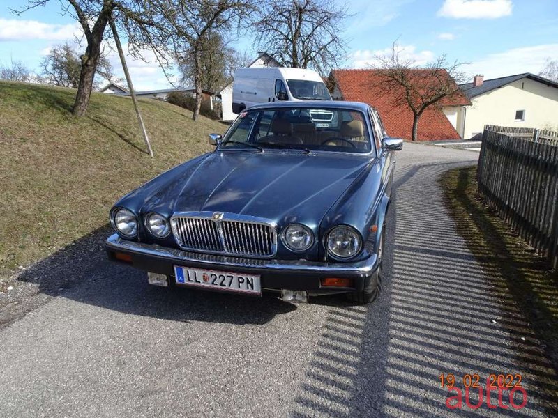 1982' Jaguar XJ photo #4