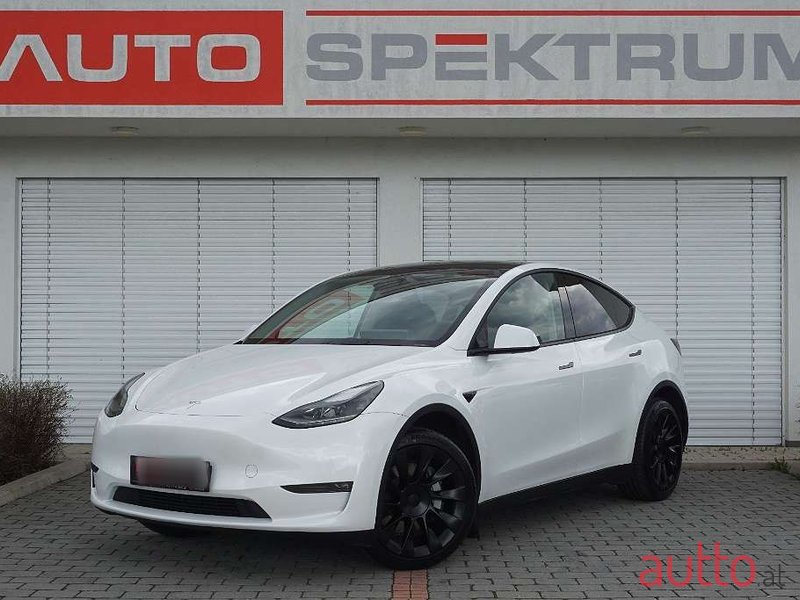 2023' Tesla Model Y photo #1