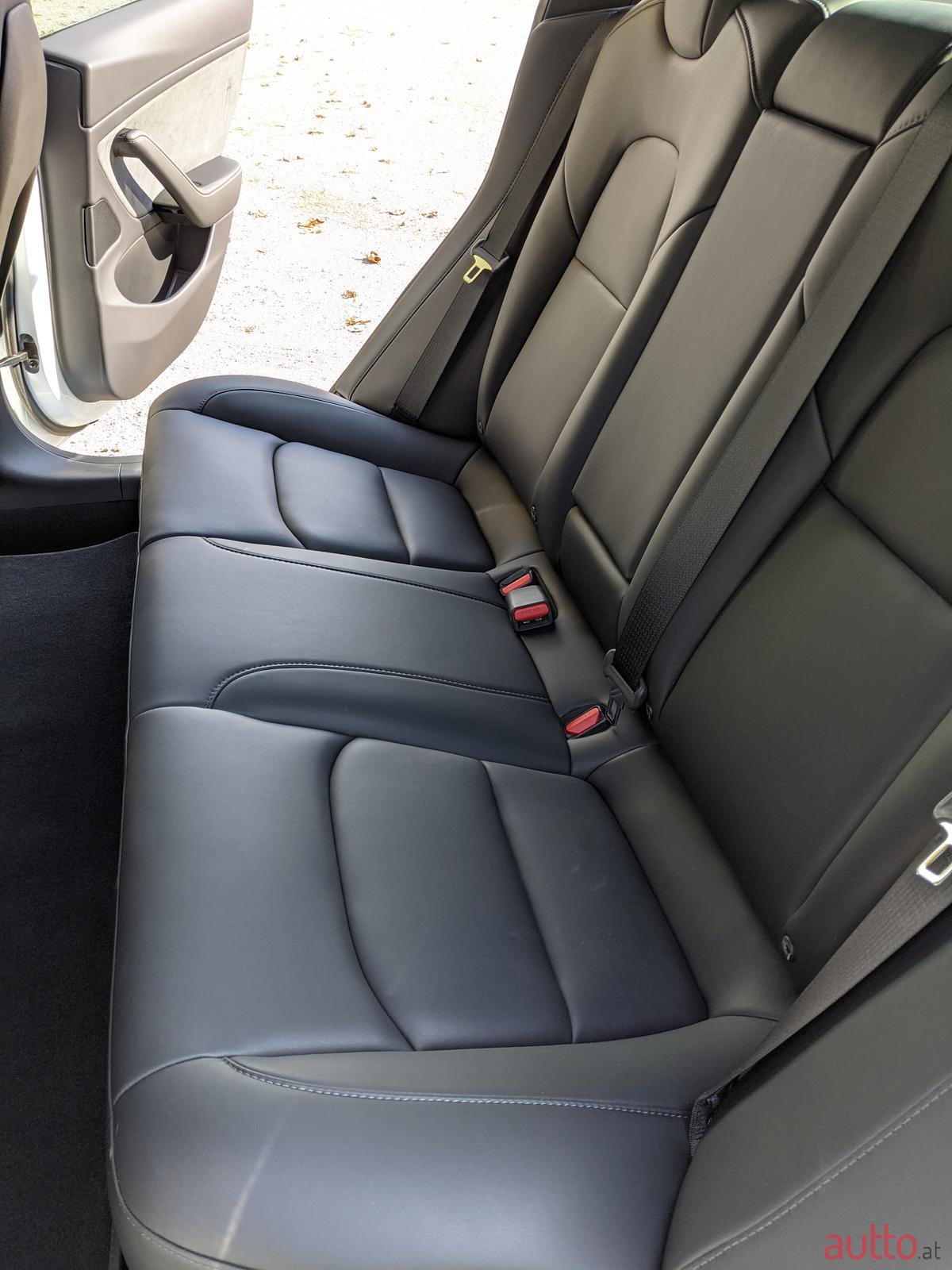 2020' Tesla Model 3 photo #5