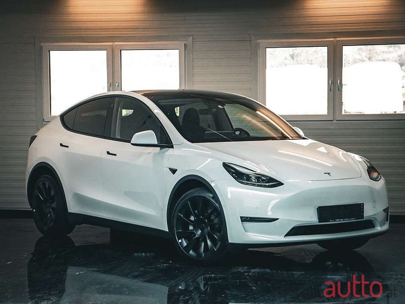 2021' Tesla Model Y photo #1