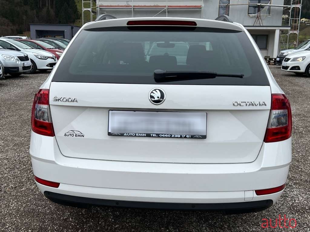 2017' Skoda Octavia photo #5