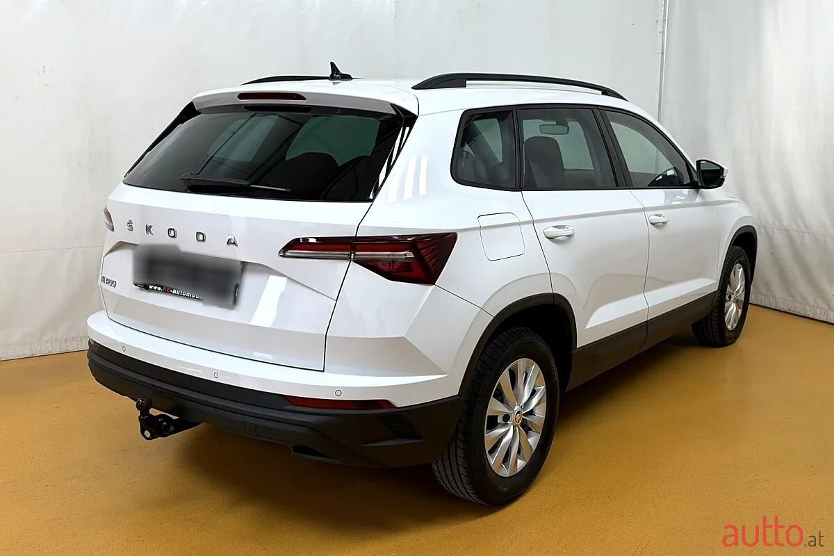 2024' Skoda Karoq photo #5