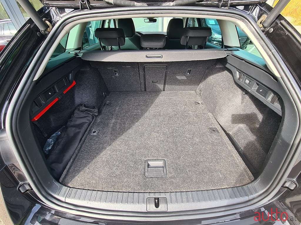 2020' Skoda Octavia photo #4