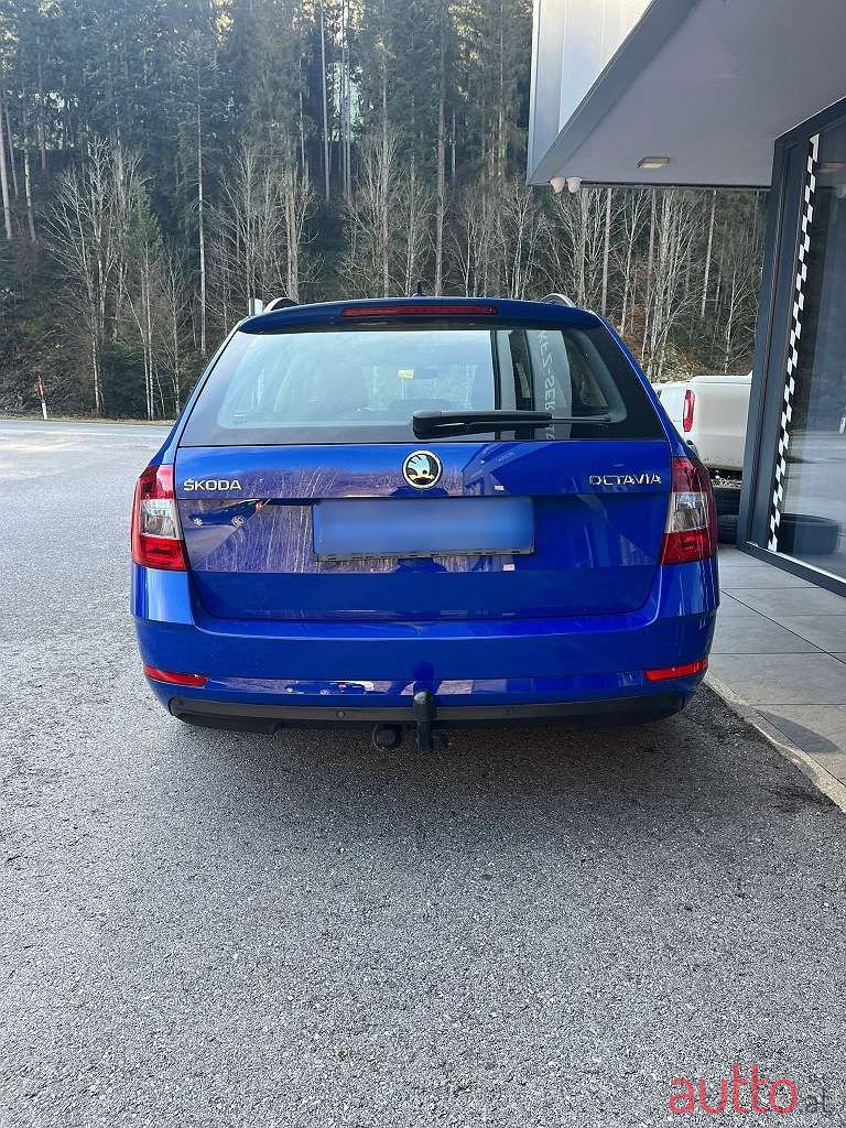 2019' Skoda Octavia photo #6