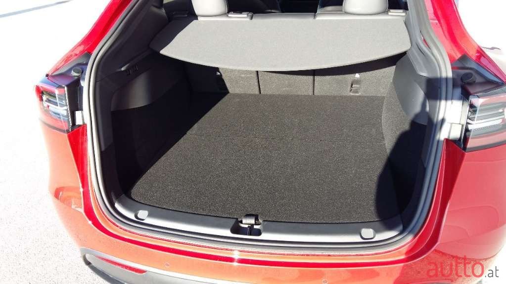2022' Tesla Model Y photo #6