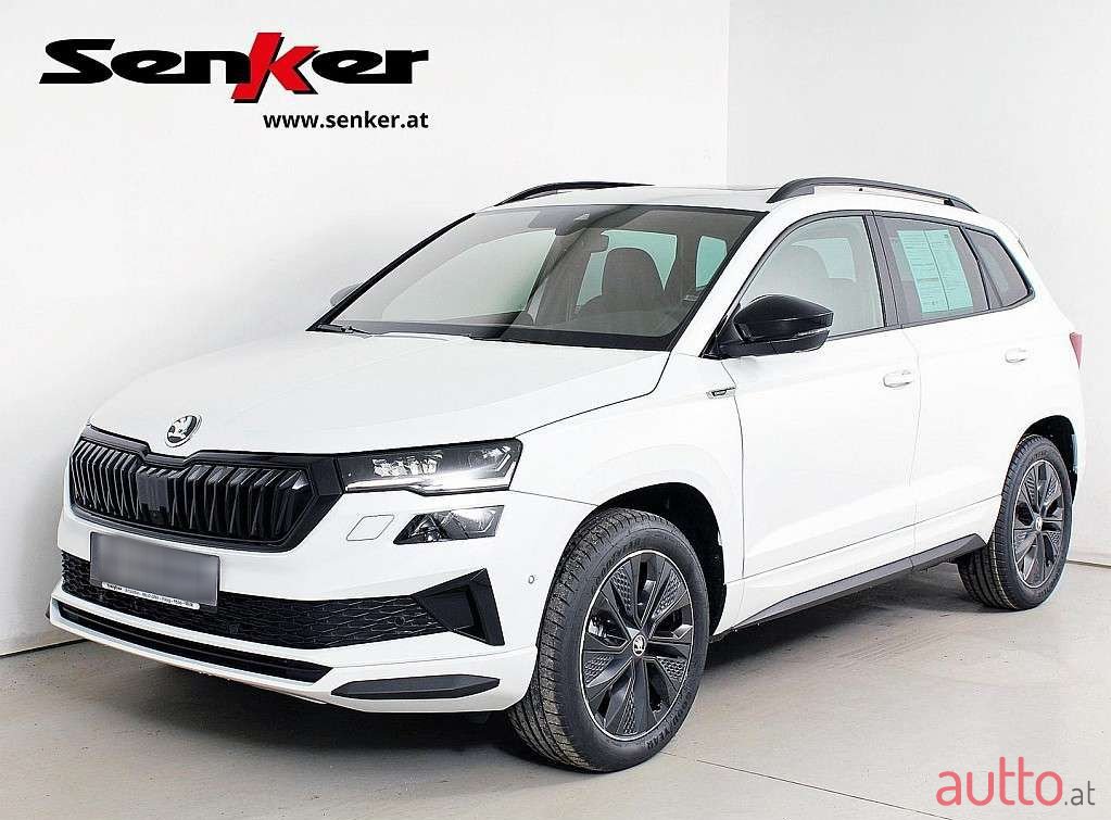 2023' Skoda Karoq photo #1