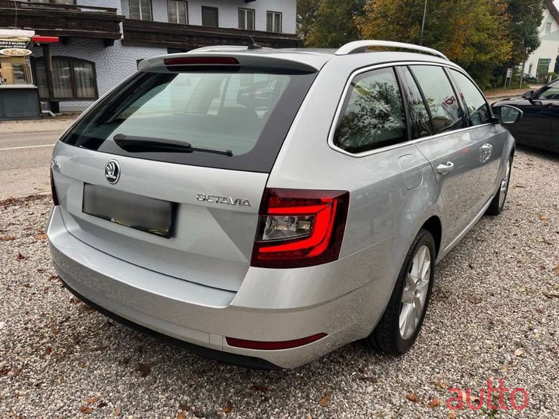 2019' Skoda Octavia photo #5