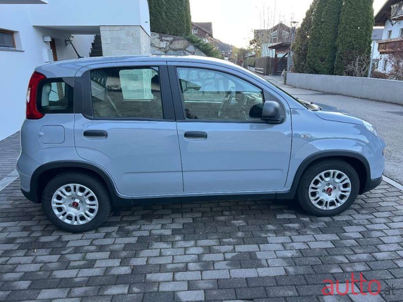 2023' Fiat Panda photo #5