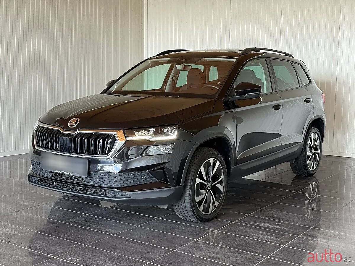 2022' Skoda Karoq photo #4