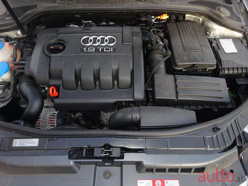 2009' Audi A3 photo #3