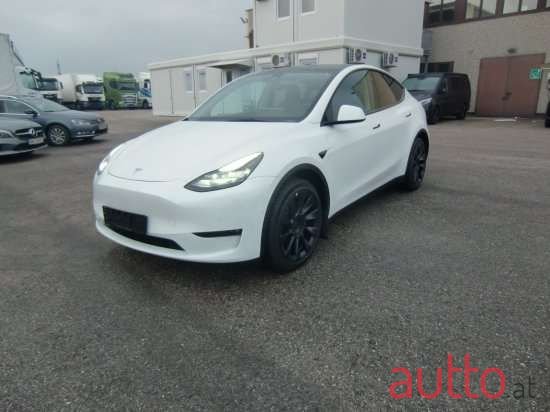 2022' Tesla Model Y photo #1