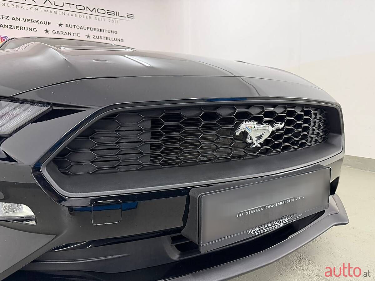 2019' Ford Mustang photo #5