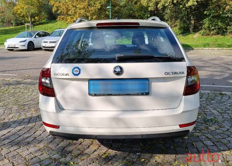 2019' Skoda Octavia photo #5