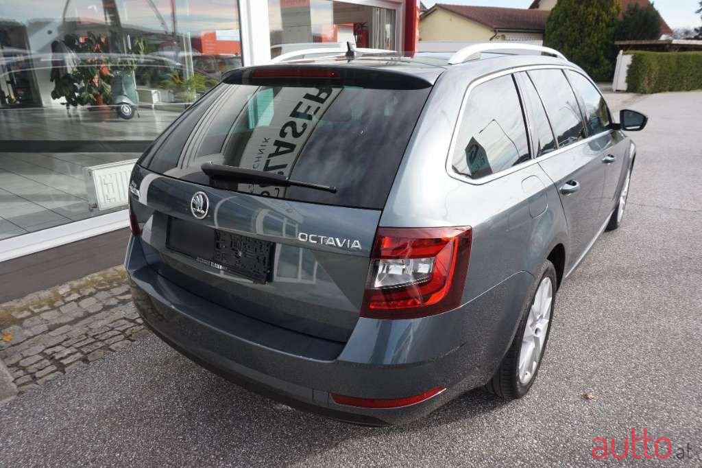 2019' Skoda Octavia photo #5