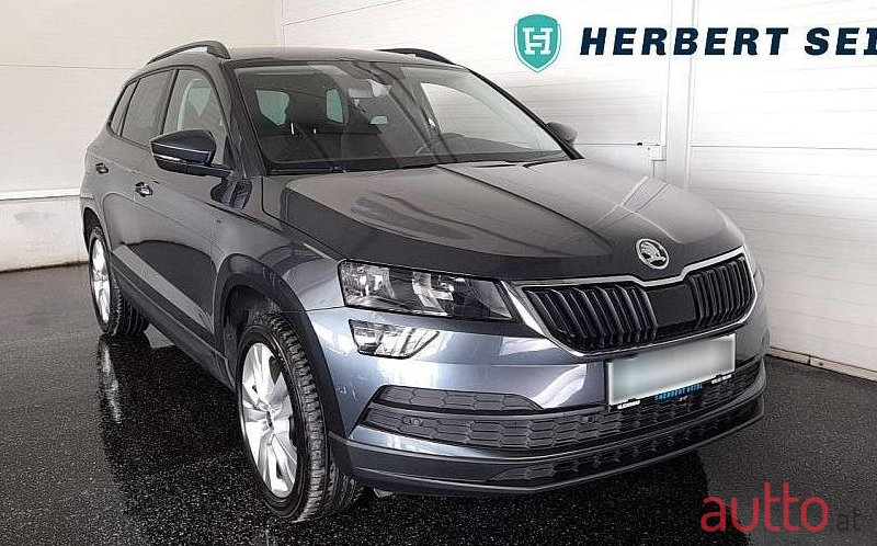 2019' Skoda Karoq photo #1