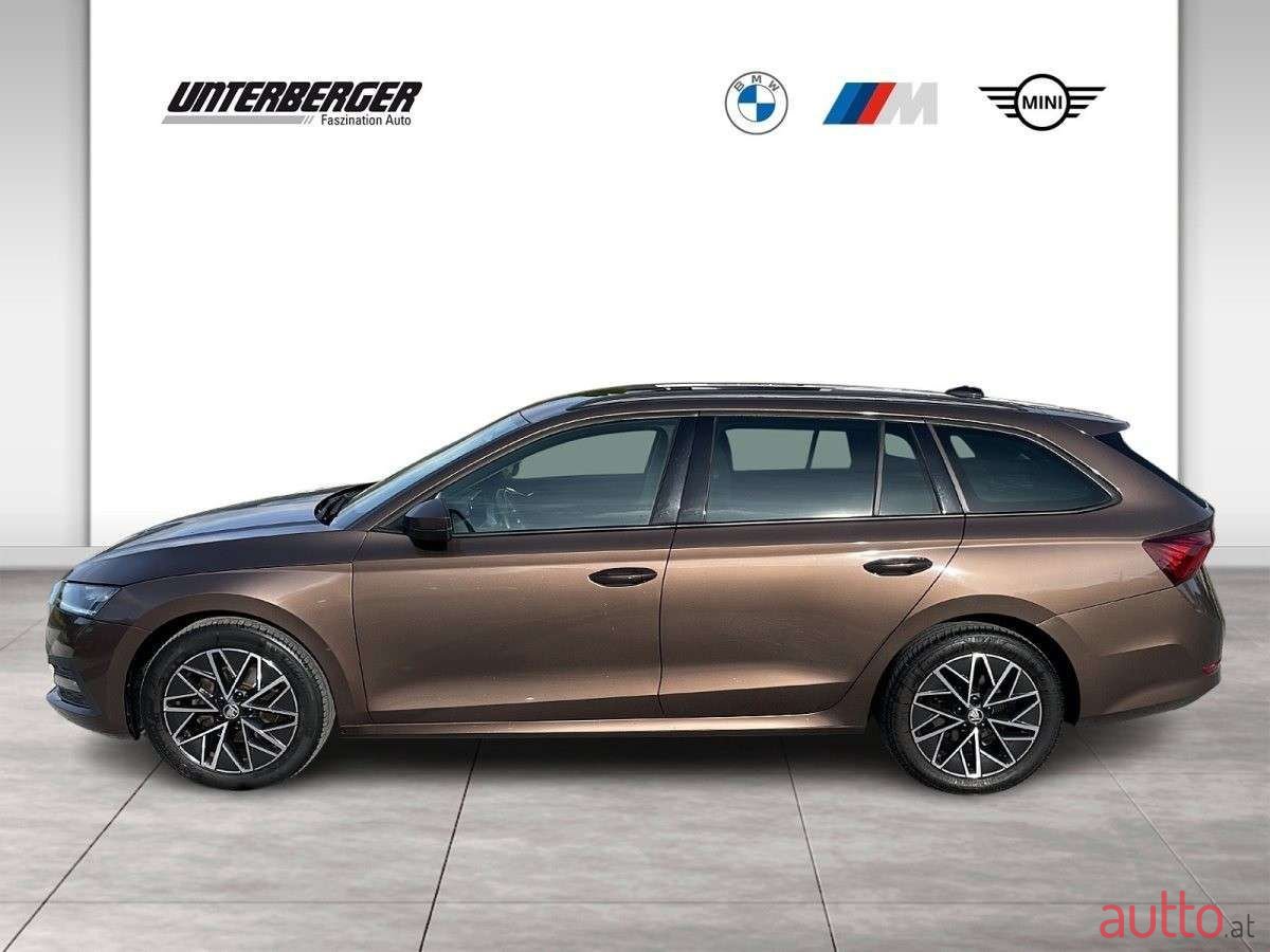 2021' Skoda Octavia photo #3